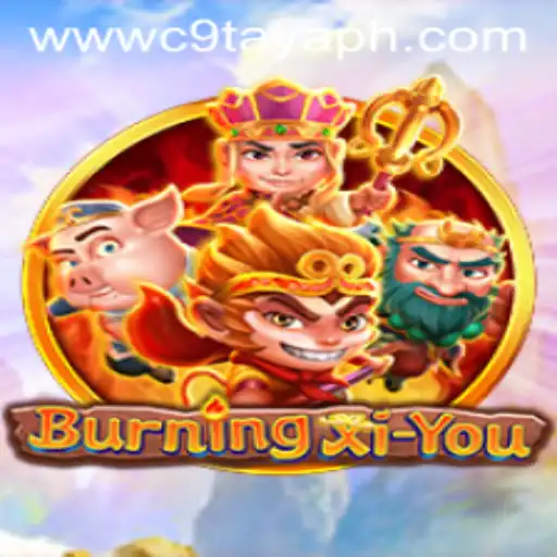 Unveiling the Thrilling Universe of BurningXiYou